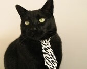 明日看点：最值得期待的比赛预告，明日看点_最值得期待的比赛预告片视频