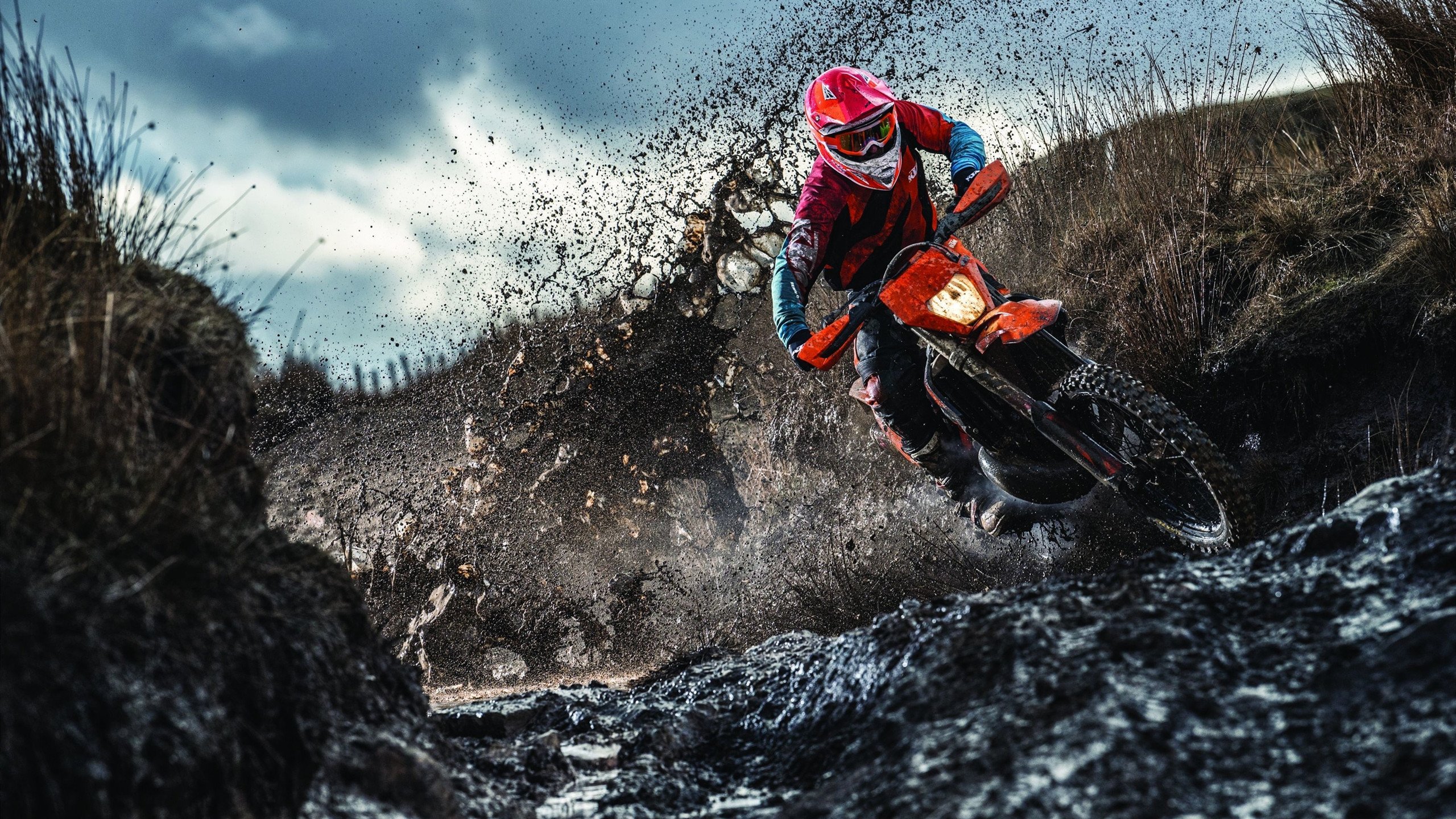 墨西哥马术协会与学校合作，开展马术教育课程，推广马术文化。