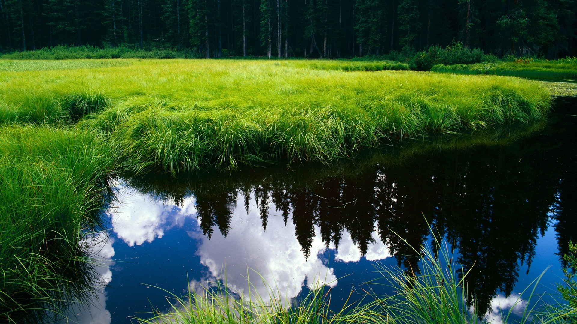 开云首页登录-奥运男足：西班牙晋级决赛，剑指金牌，奥运男足 西班牙